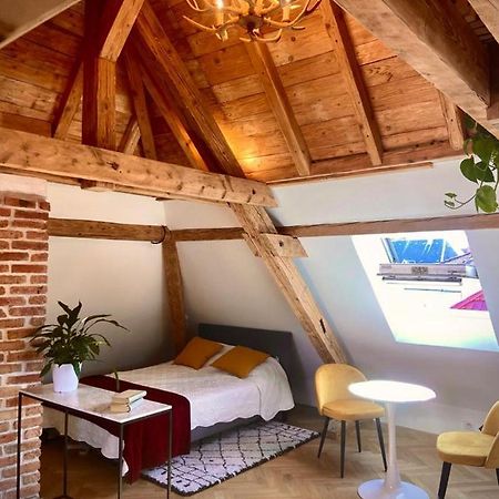 Apartmán Un Petit Nid Atypique Au Coeur De Munster Munster  Exteriér fotografie
