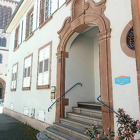 Apartmán Un Petit Nid Atypique Au Coeur De Munster Munster  Exteriér fotografie