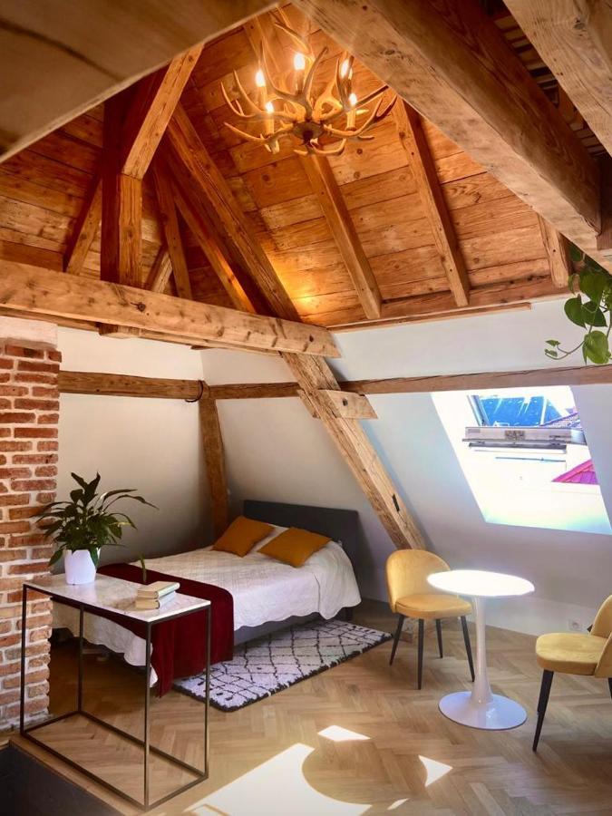Apartmán Un Petit Nid Atypique Au Coeur De Munster Munster  Exteriér fotografie