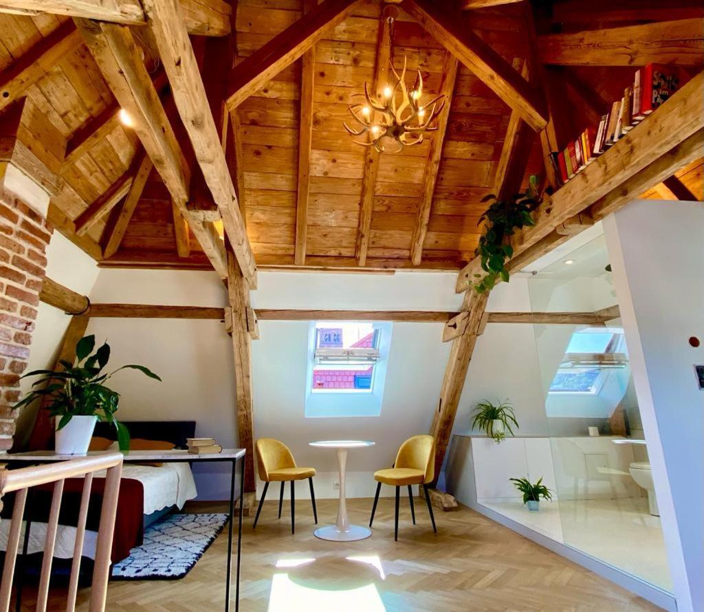 Apartmán Un Petit Nid Atypique Au Coeur De Munster Munster  Exteriér fotografie