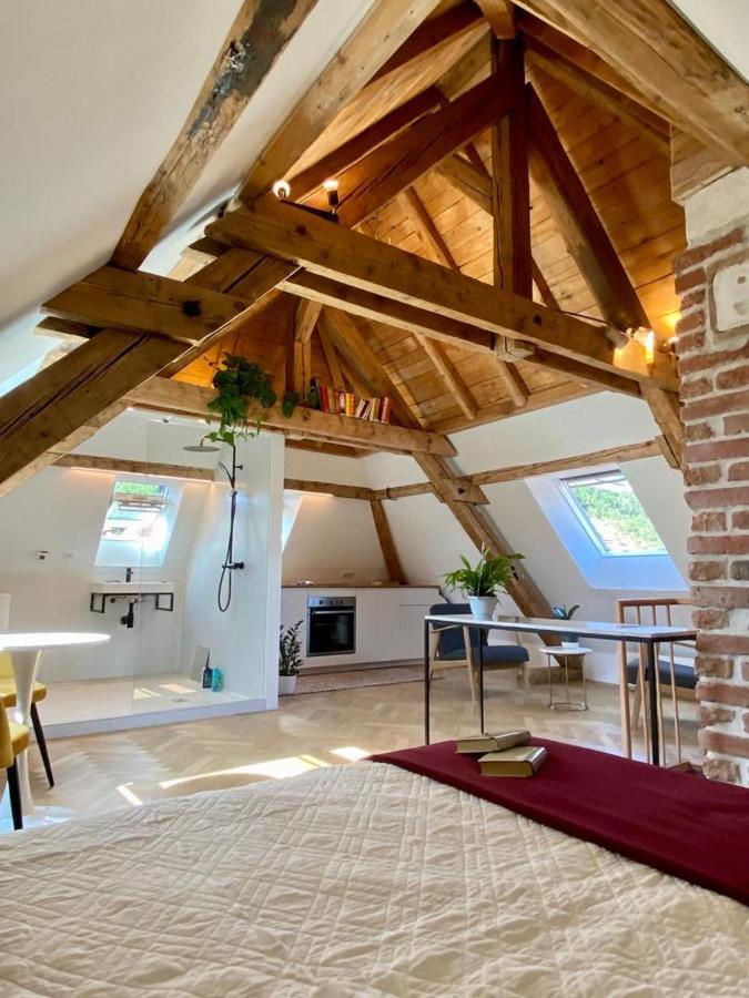 Apartmán Un Petit Nid Atypique Au Coeur De Munster Munster  Exteriér fotografie